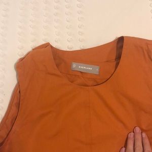 Everlane shirt